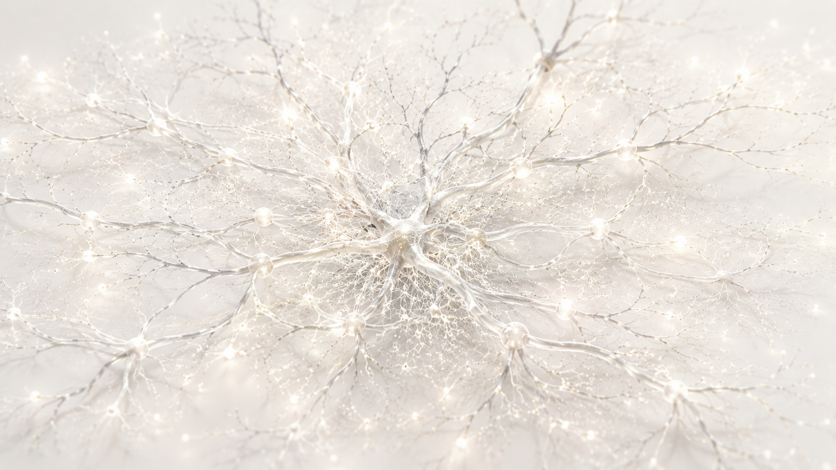 The Gut-Brain Connection: Why Your Stomach Affects Your Mood