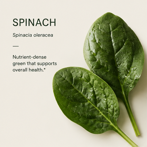 SPINACH