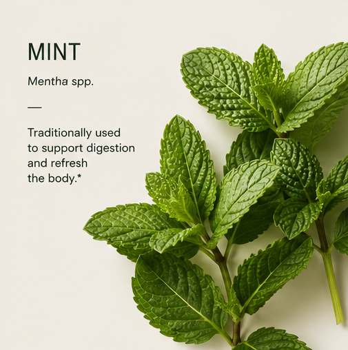 MINT LEAF