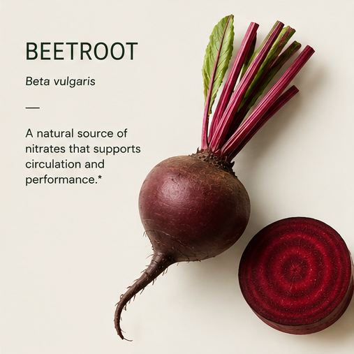 BEETROOT