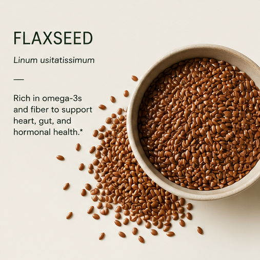 FLAX SEED