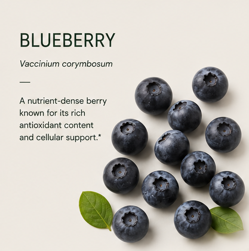 BLUEBERRY