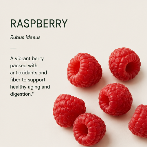 RASPBERRY