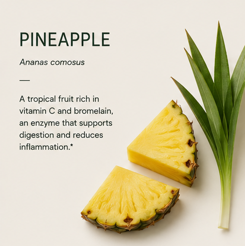PINEAPPLE