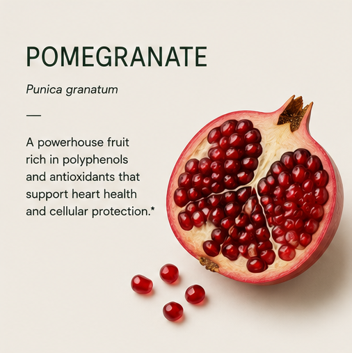 POMEGRANATE