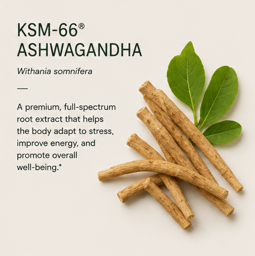 KSM-66 ASHWAGANDHA
