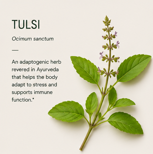 TULSI