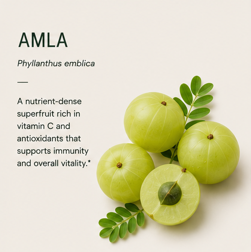 AMLA