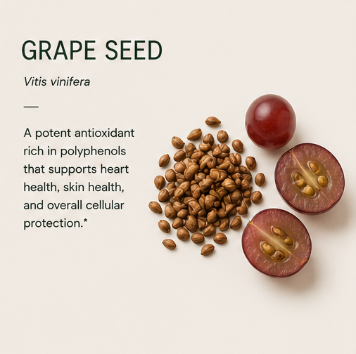GRAPE SEED