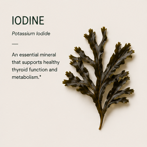 IODINE