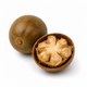 MONKFRUIT