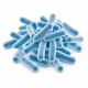 Bacillus coagulans