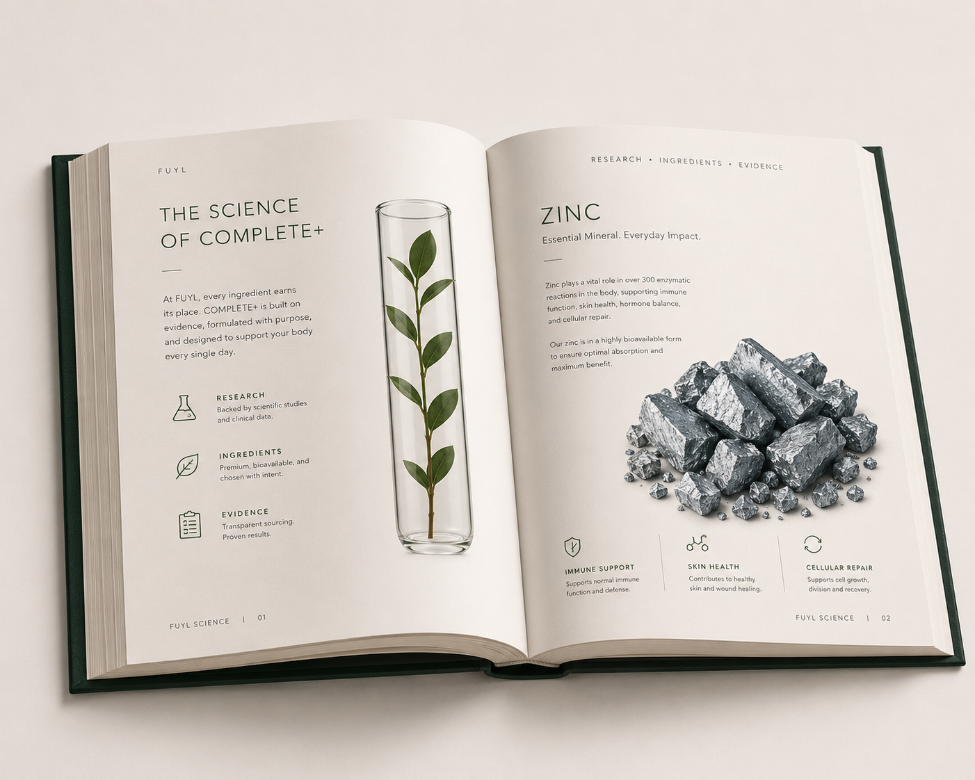 Our Journal
